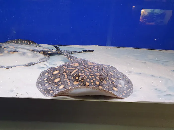 Blackpool Reptiles & Aquatics LTD Picture 4