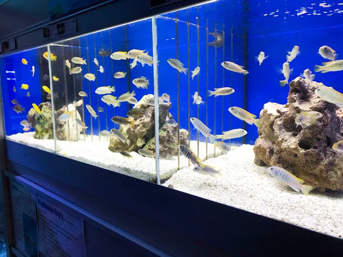 Blackpool Reptiles & Aquatics LTD Picture 7