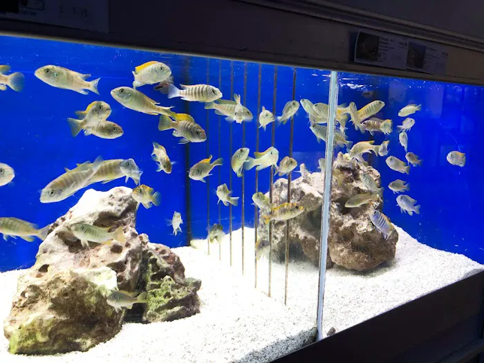 Blackpool Reptiles & Aquatics LTD Picture 6