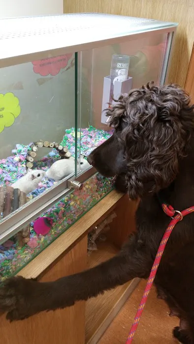 Pets at Home Blackpool Picture 5