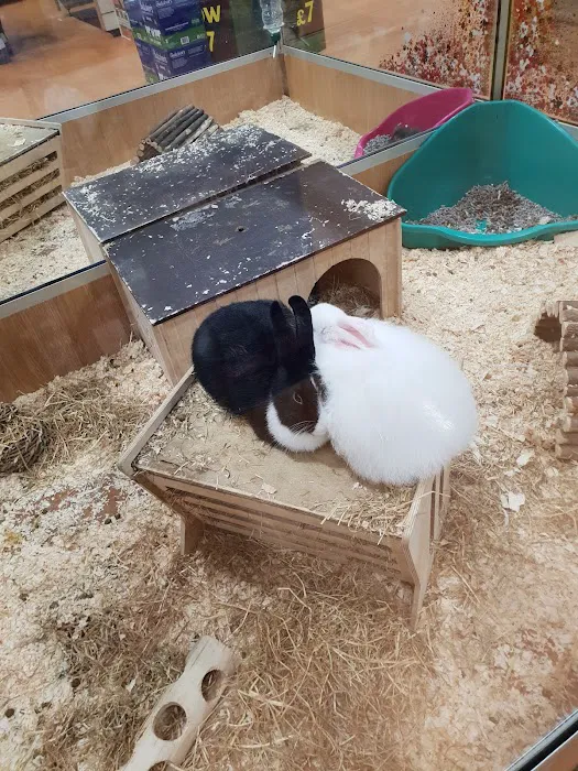 Pets at Home Blackpool Picture 9