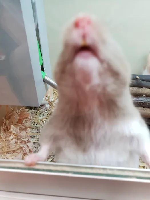 Pets at Home Blackpool Picture 7