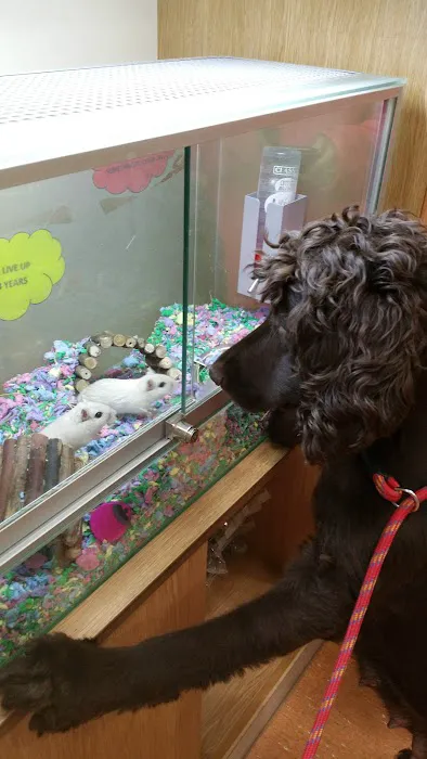 Pets at Home Blackpool Picture 2