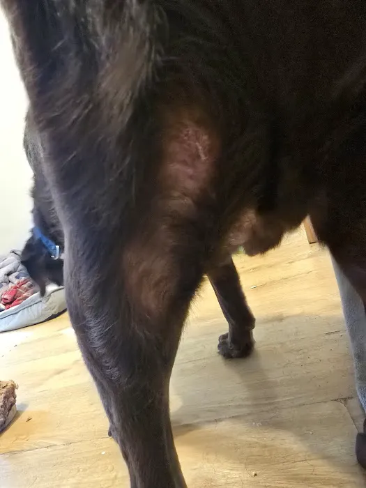 Pets at Home Blackpool Picture 4