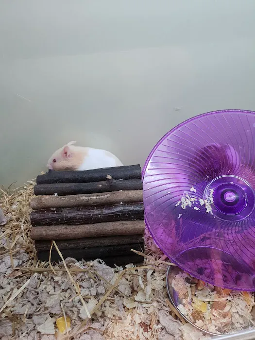 Pets at Home Blackpool Picture 8