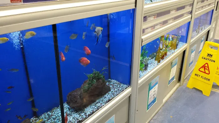 Pets at Home Hartlepool Picture 2