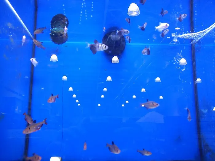 Pets at Home Hartlepool Picture 5