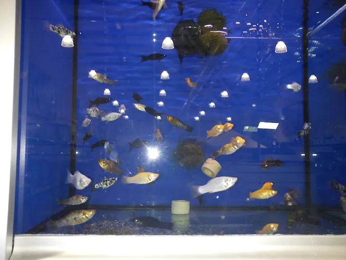 Pets at Home Hartlepool Picture 8