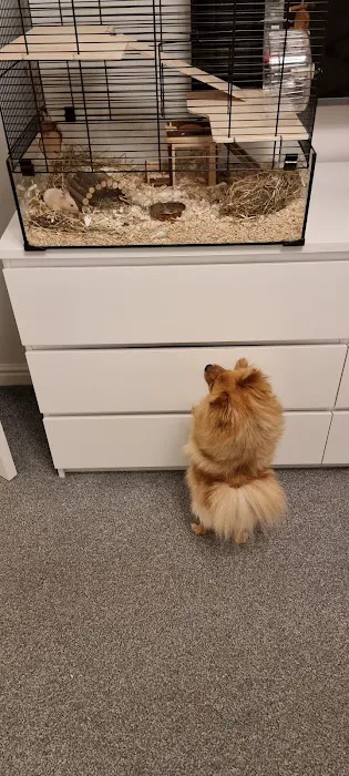 Pets at Home Hartlepool Picture 9