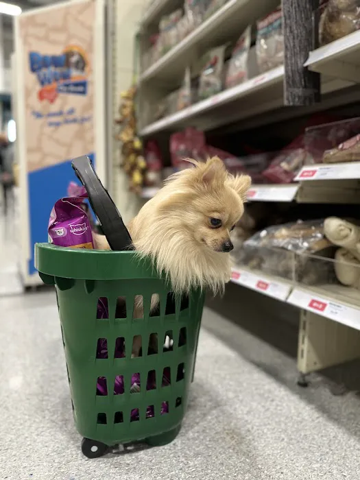 Pets at Home Hartlepool Picture 10