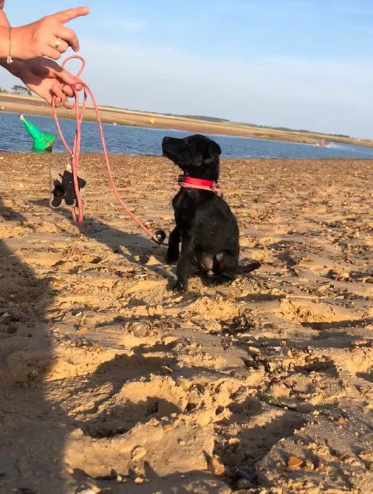 All Things Rope Picture 5