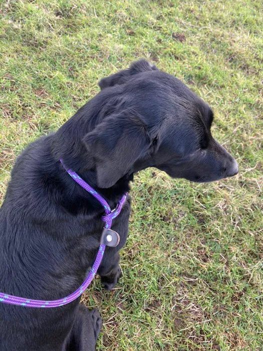 All Things Rope Picture 7