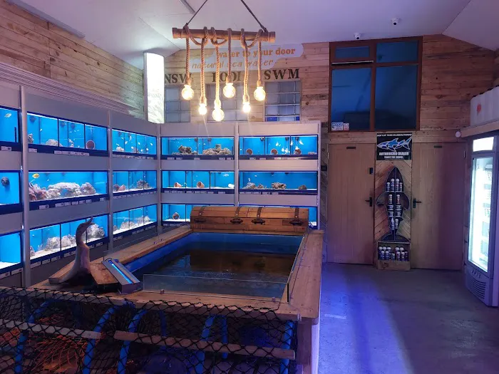 Sandgate aquatics Picture 2