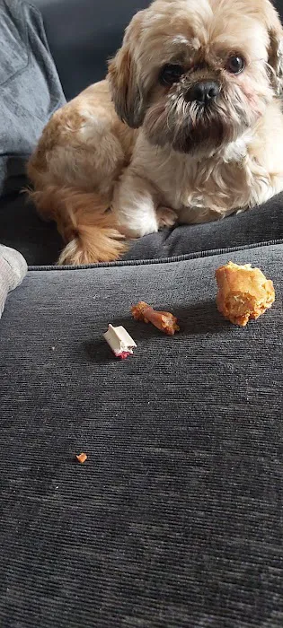 JP's Pet Supplies Picture 1