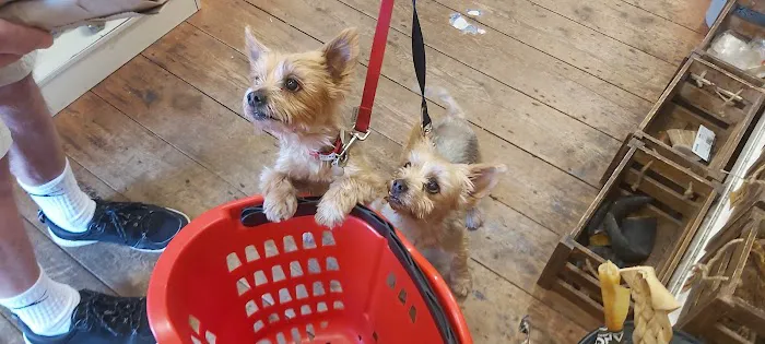 JP's Pet Supplies Picture 7