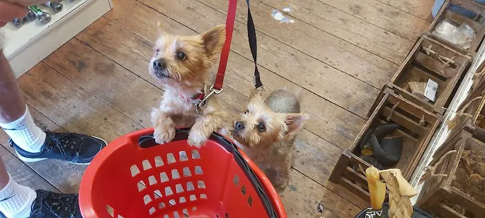 JP's Pet Supplies Picture 8