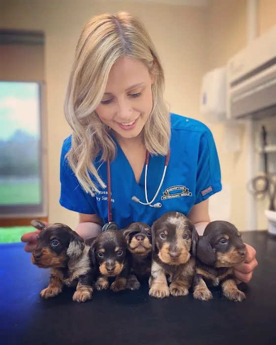 Bishopton Veterinary Group Ripon Picture 8