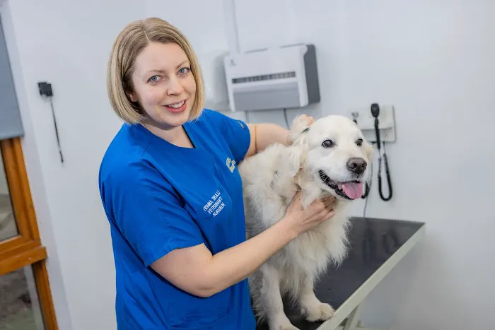 Bishopton Veterinary Group Ripon Picture 9