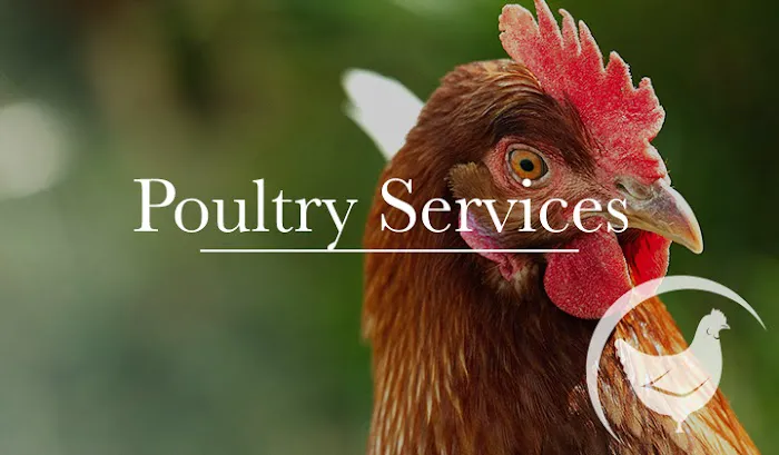 Sandhill Veterinary Services Picture 2