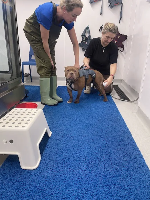 North Paws Rehabilitation Referrals ltd Picture 1