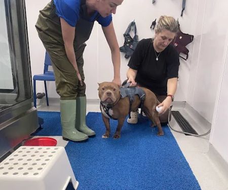 North Paws Rehabilitation Referrals ltd