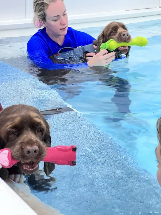 North Paws Rehabilitation Referrals ltd Picture 9