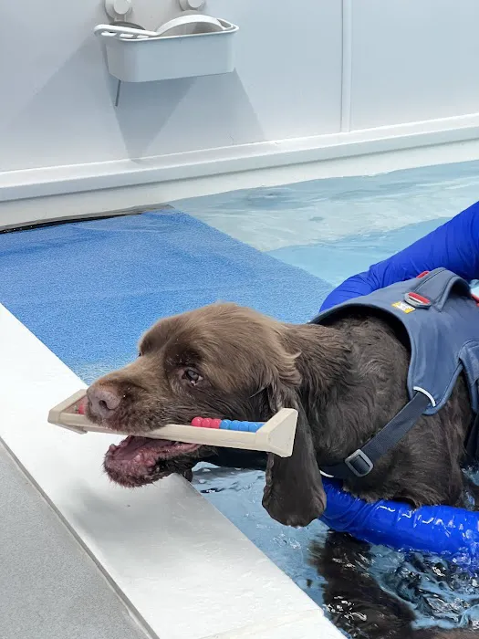 North Paws Rehabilitation Referrals ltd Picture 6