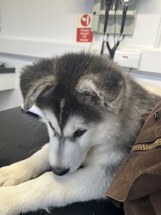 Bishopton Veterinary Group Pateley Bridge Picture 1
