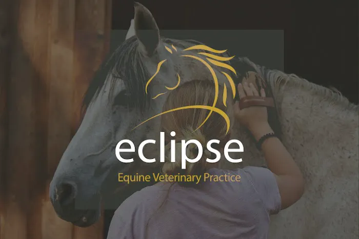 Eclipse Equine Veterinary Practice Picture 3