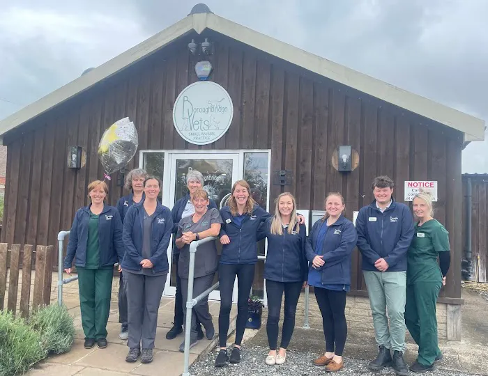 Boroughbridge Vets Picture 1