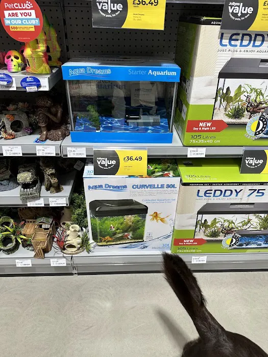 Jollyes - The Pet People Harrogate Picture 6