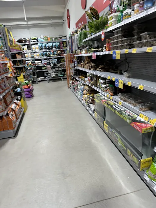 Jollyes - The Pet People Harrogate Picture 1