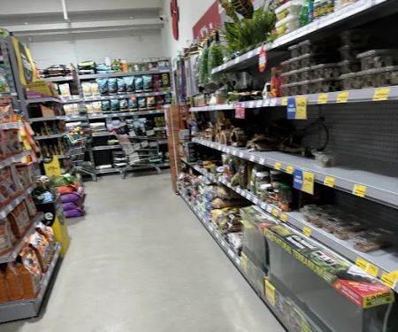 Jollyes - The Pet People Harrogate