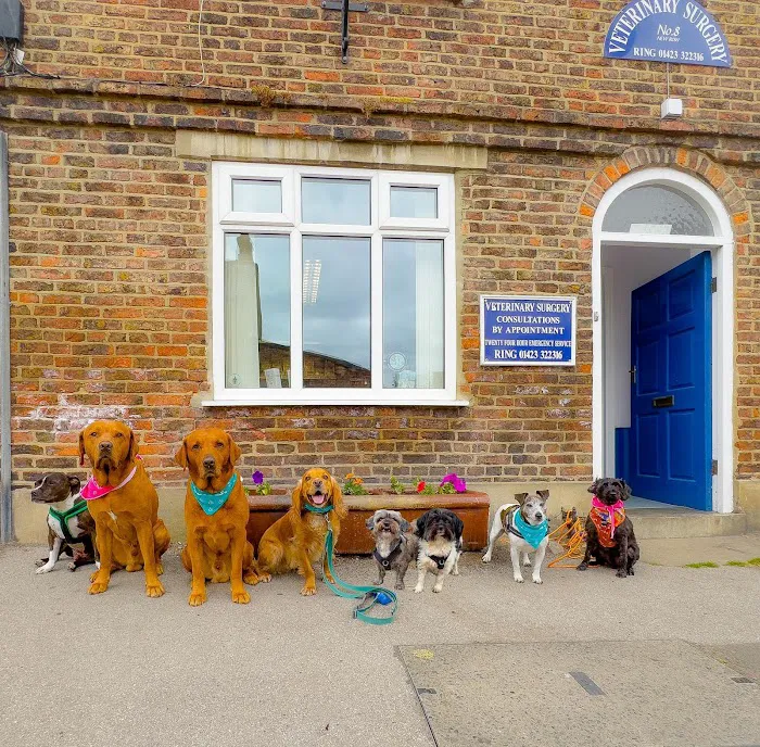 Rae, Bean & Partners Veterinary Surgery Picture 5