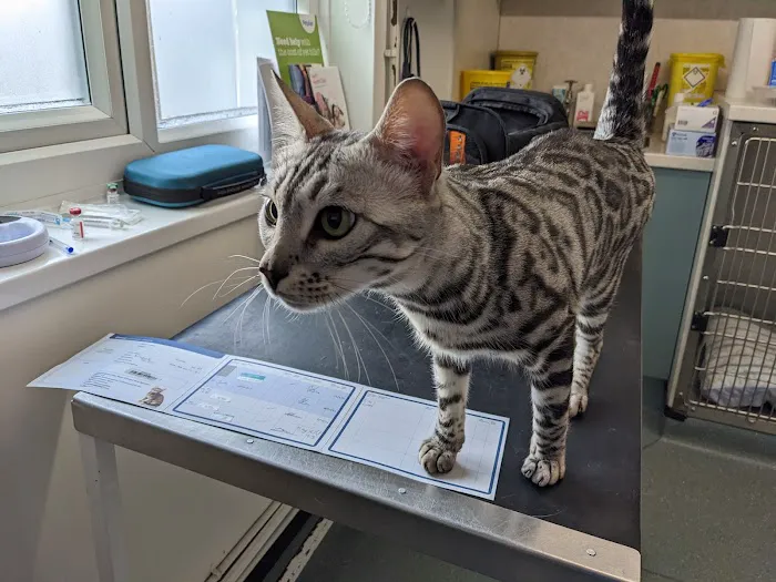 Rae, Bean & Partners Veterinary Surgery Picture 4