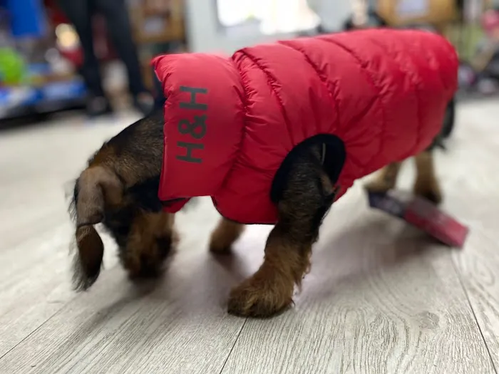 HG Pets - Independent Harrogate Pet Shop & Dog Groomer Picture 9