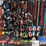 HG Pets - Independent Harrogate Pet Shop & Dog Groomer
