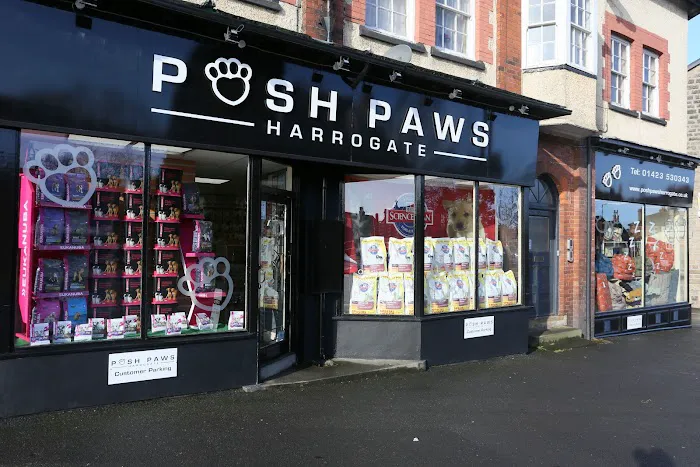 Posh Paws Harrogate Picture 4