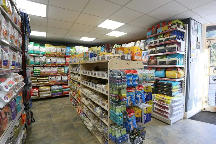 Posh Paws Harrogate Picture 1