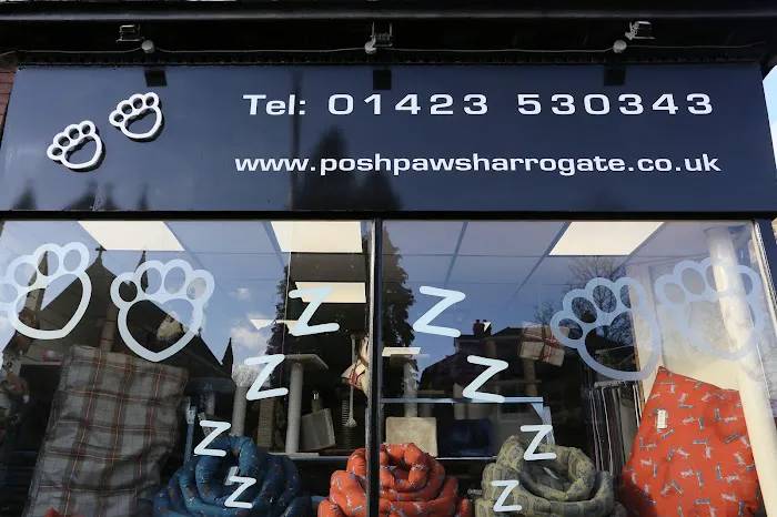 Posh Paws Harrogate Picture 5
