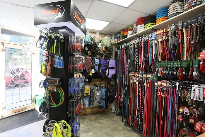 Posh Paws Harrogate Picture 8