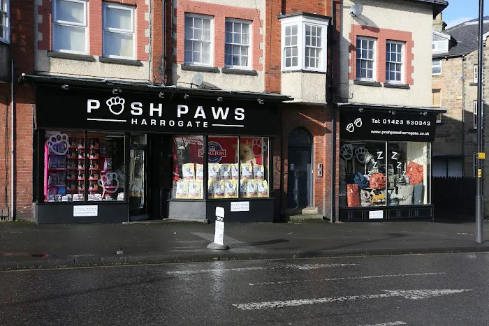 Posh Paws Harrogate Picture 6