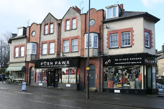 Posh Paws Harrogate Picture 9