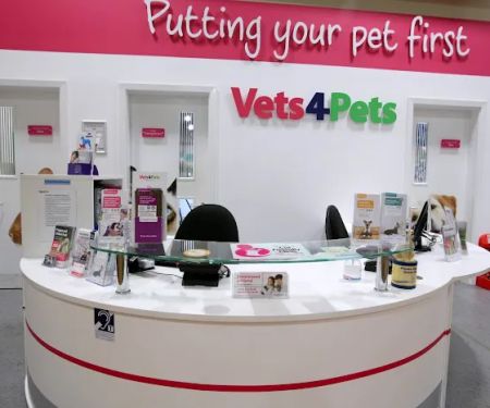Vets4Pets - Harrogate New Park