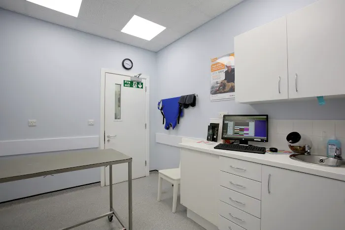 Vets4Pets - Harrogate New Park Picture 10