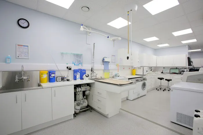 Vets4Pets - Harrogate New Park Picture 9