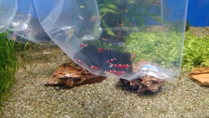 Harrogate Aquatic Picture 1