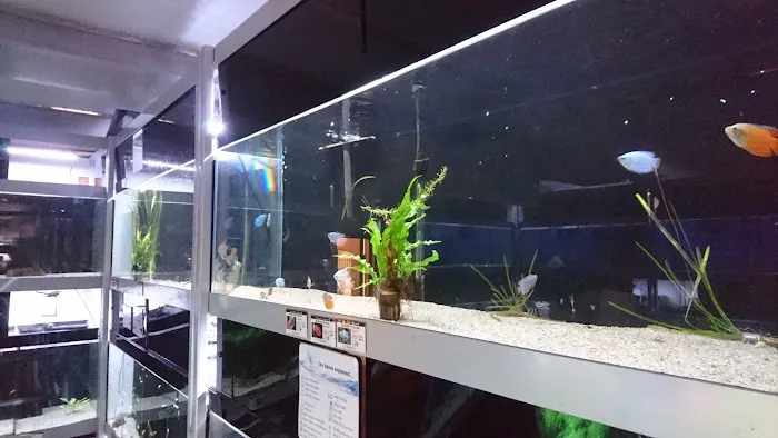 Harrogate Aquatic Picture 5