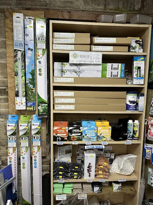 Harrogate Aquatic Picture 10