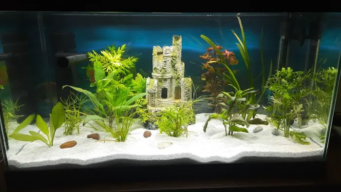 Harrogate Aquatic Picture 8